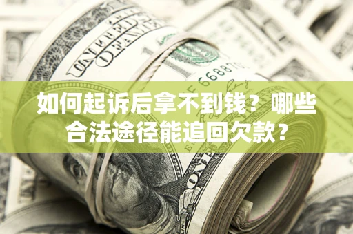 武汉如何起诉后拿不到钱？哪些合法途径能追回欠款？