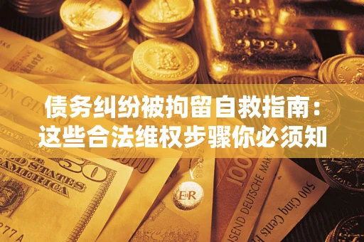 武汉债务纠纷被拘留自救指南：这些合法维权步骤你必须知道！
