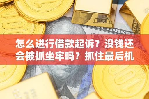 武汉怎么进行借款起诉？没钱还会被抓坐牢吗？抓住最后机会！