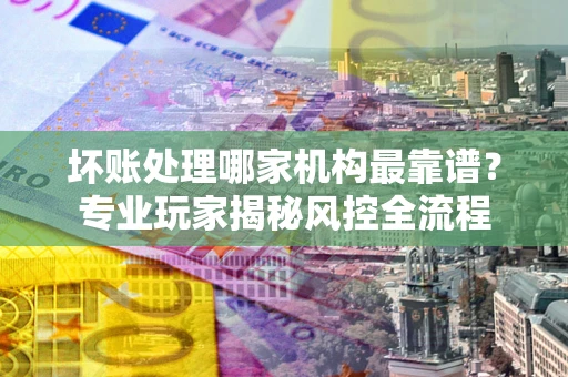 武汉坏账处理哪家机构最靠谱？专业玩家揭秘风控全流程