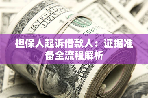 武汉担保人起诉借款人：证据准备全流程解析