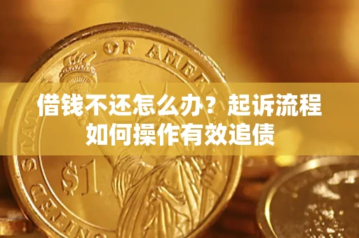 武汉借钱不还怎么办？起诉流程如何操作有效追债
