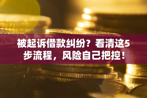 武汉被起诉借款纠纷？看清这5步流程，风险自己把控！