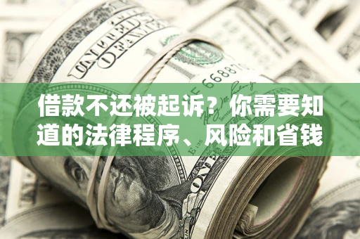 武汉借款不还被起诉？你需要知道的法律程序、风险和省钱技巧