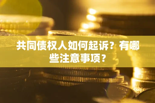 武汉共同债权人如何起诉？有哪些注意事项？