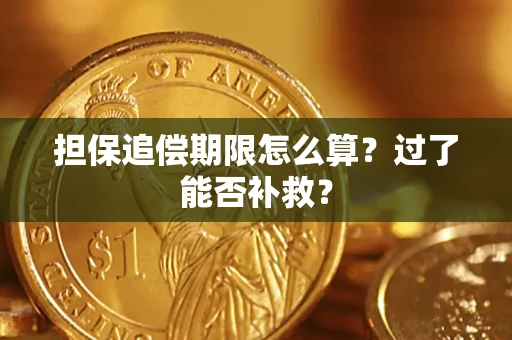 武汉担保追偿期限怎么算？过了能否补救？